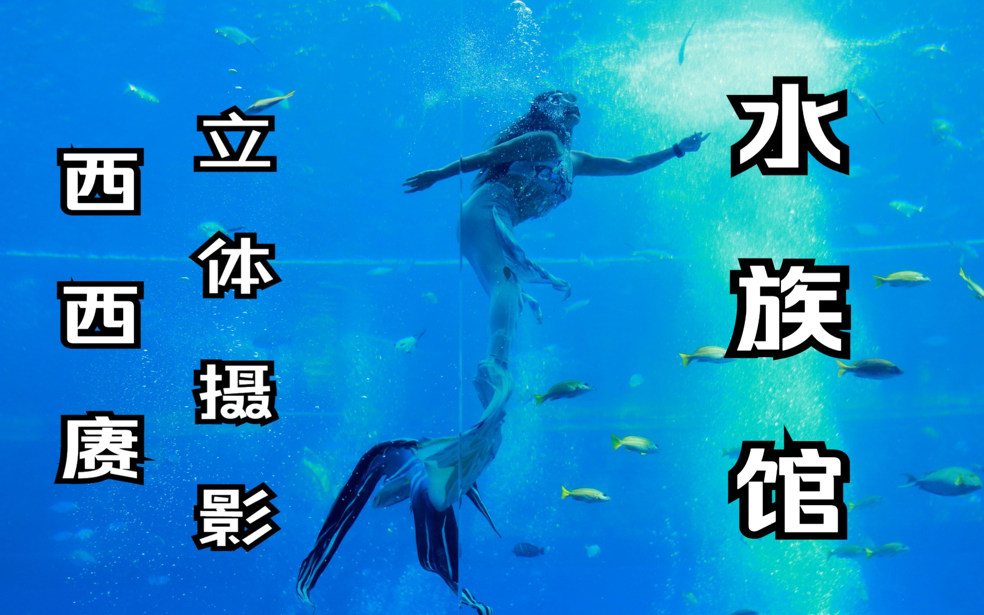 【西西赓】立体摄影:失落的空间水族馆哔哩哔哩bilibili