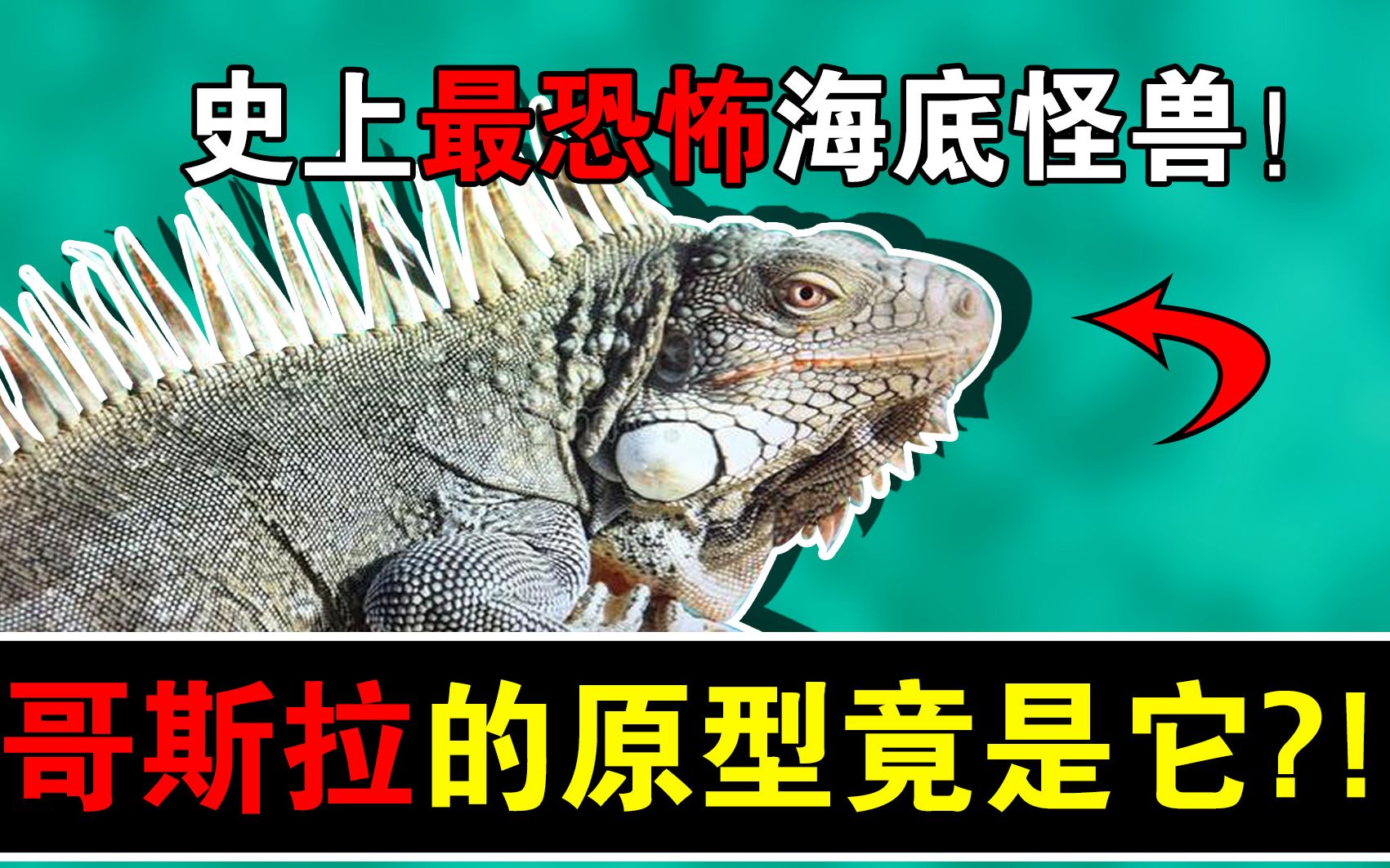 【动物科普/海鬣蜥】史上最恐怖的海底怪兽!哥斯拉的原形竟然是它?