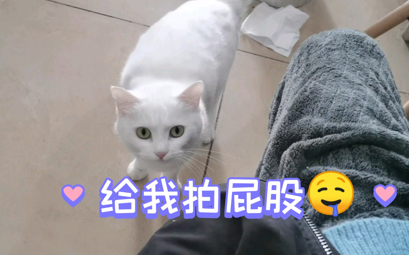 拍屁股𐟤䰟䤰Ÿ䤥“”哩哔哩bilibili