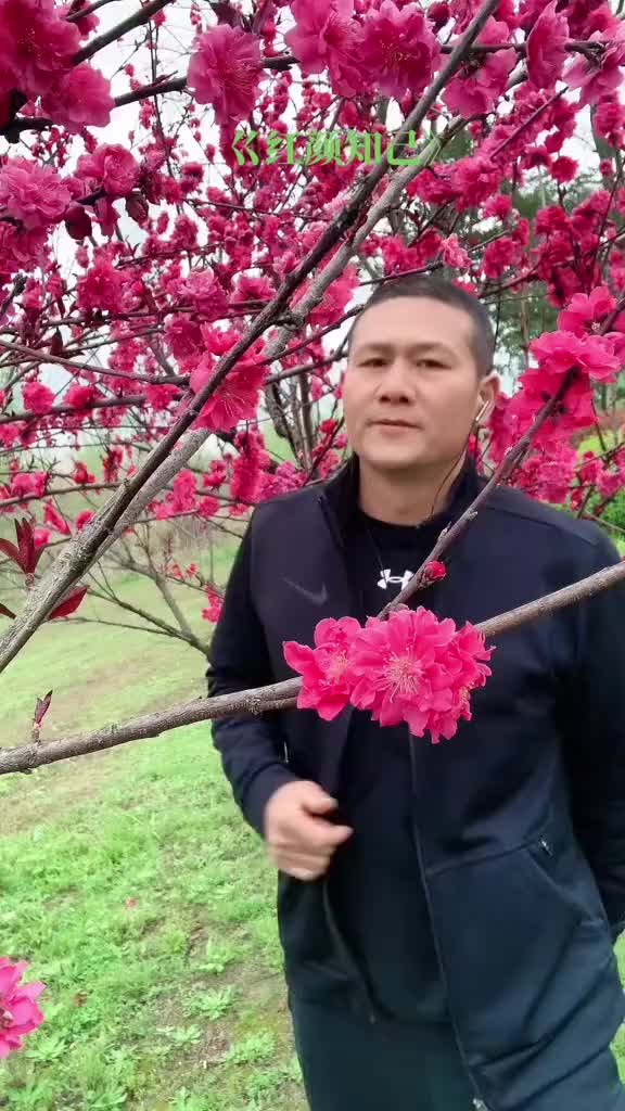 [图]又一首热歌对唱出炉太好听又啦热歌对唱首发同城热门春暖花香抖音