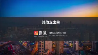 Download Video: 其他支出单