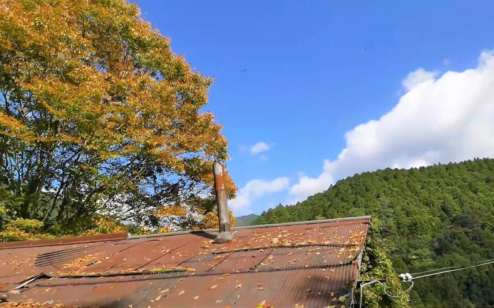 日本乡村  修験道の大峰山口として栄えた町 川上村柏木(奈良県)哔哩哔哩bilibili