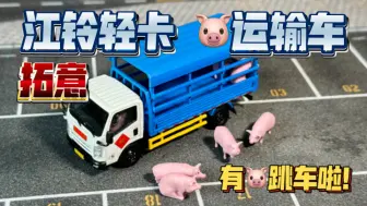 Download Video: 新车入库：拓意 江铃 轻卡 🐷运输车