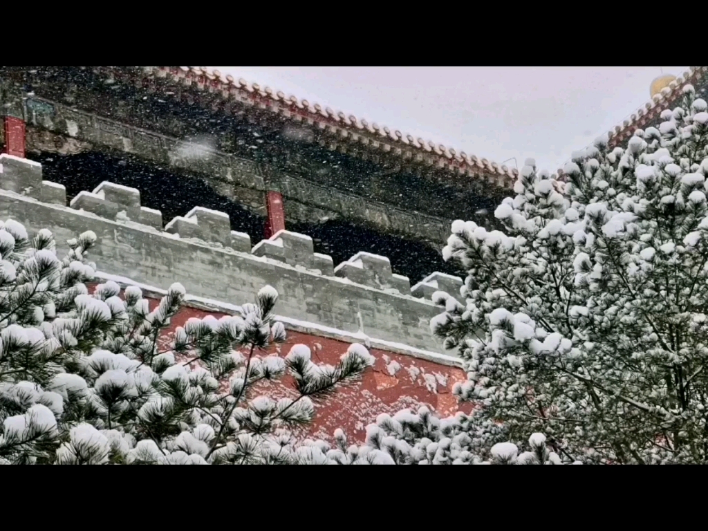 [图]飘雪紫禁城