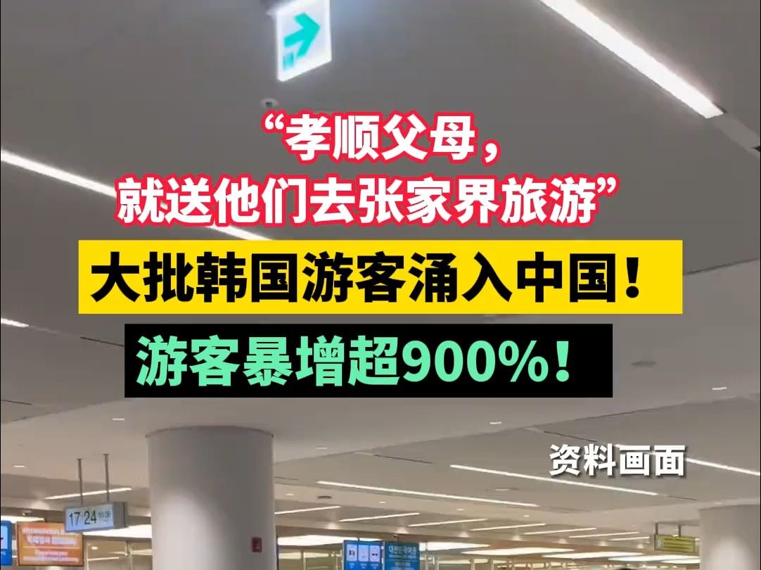 “孝顺父母,就送他们去张家界旅游” 大批韩国游客涌入中国! 游客暴增超900%!哔哩哔哩bilibili