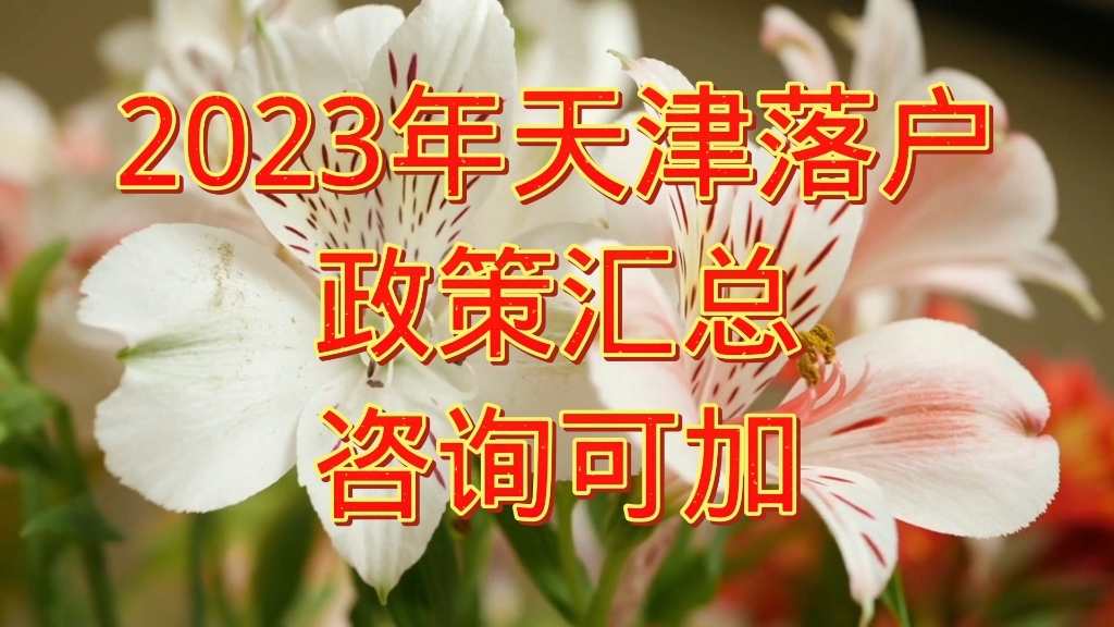 天津落户2023年新政策哔哩哔哩bilibili