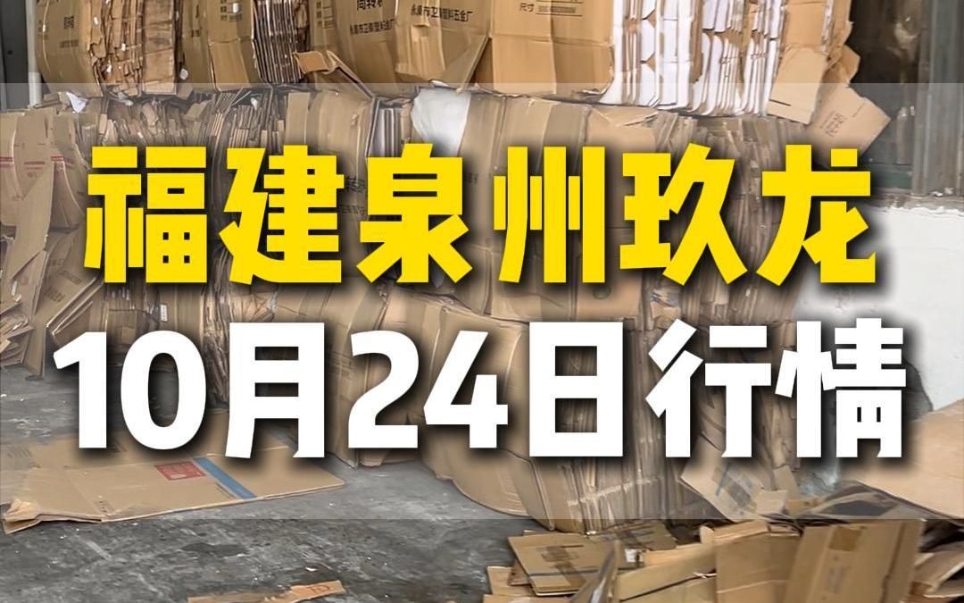 10月25日福建泉州玖龙今日行情参考哔哩哔哩bilibili