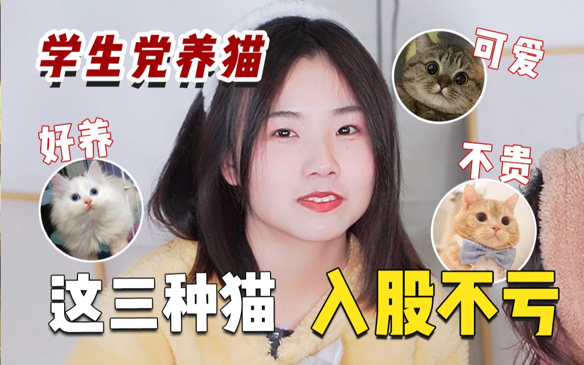 [图]3种贵族猫🐱便宜好养❗00后学生党赶紧冲！