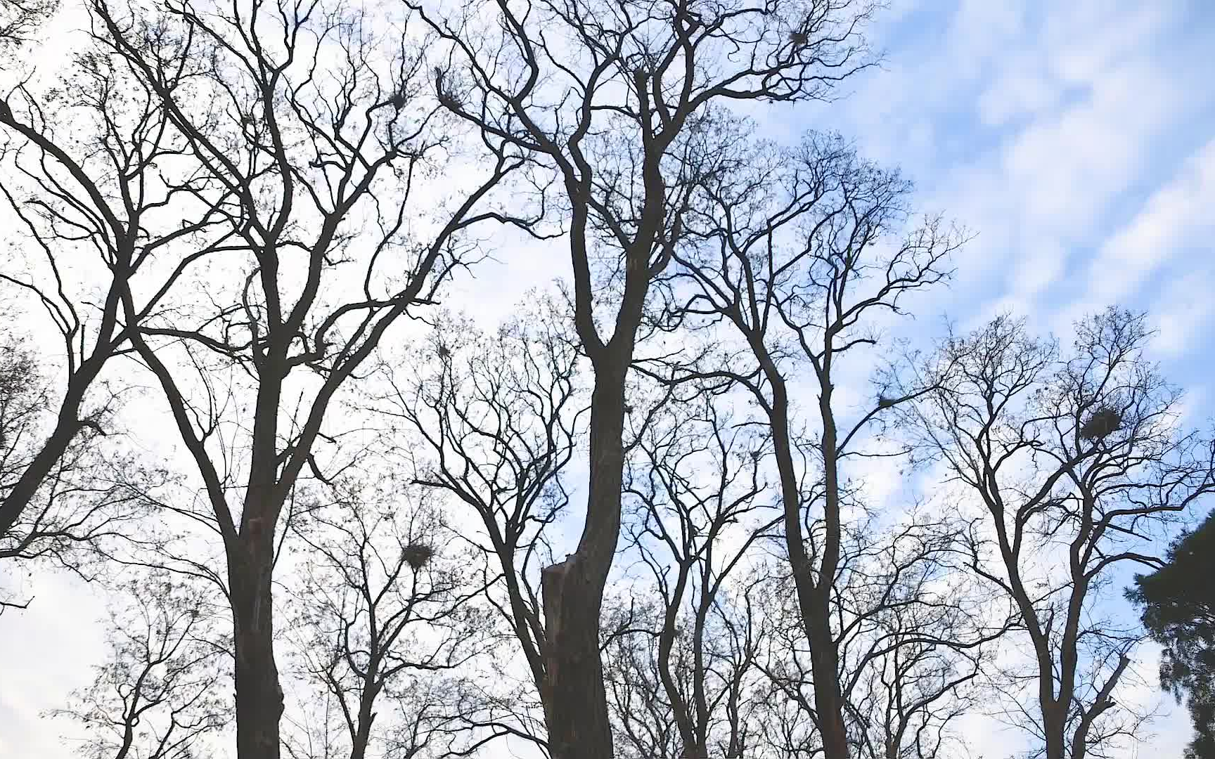 [图]在动漫里才能见到的淡蓝色天空呀