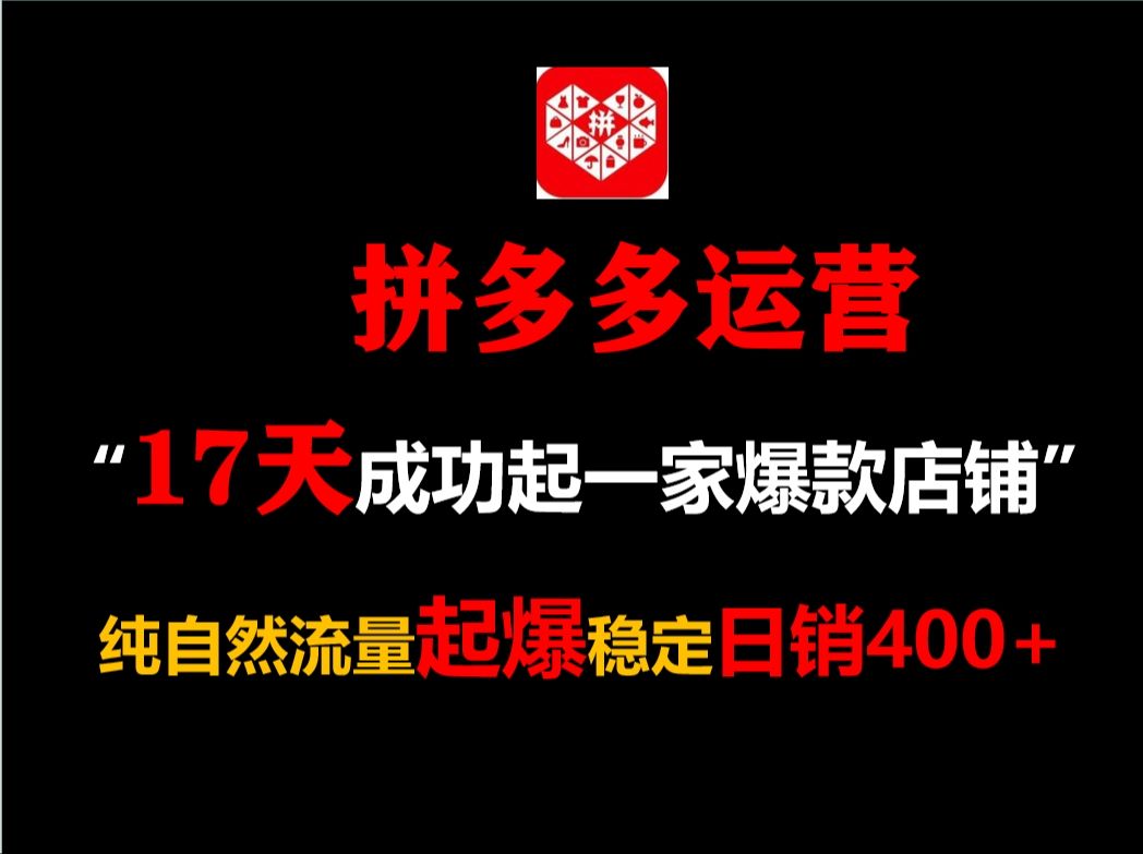 【如何17天成功做一家拼多多店铺】纯自然流量起爆稳定日销400+哔哩哔哩bilibili