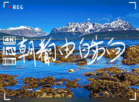 旅行风3:向远方出发第2983期