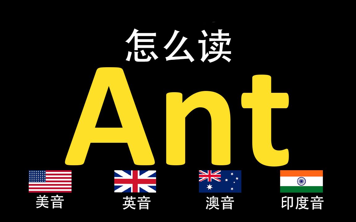 ant是什么意思图片