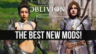 【中字】上古卷轴4重制版修复类mod介绍