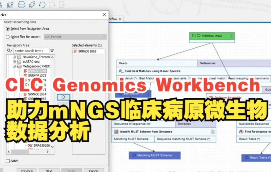 如何一键进行mNGS taxonomy、耐药性分析和MLST分型等分析?哔哩哔哩bilibili