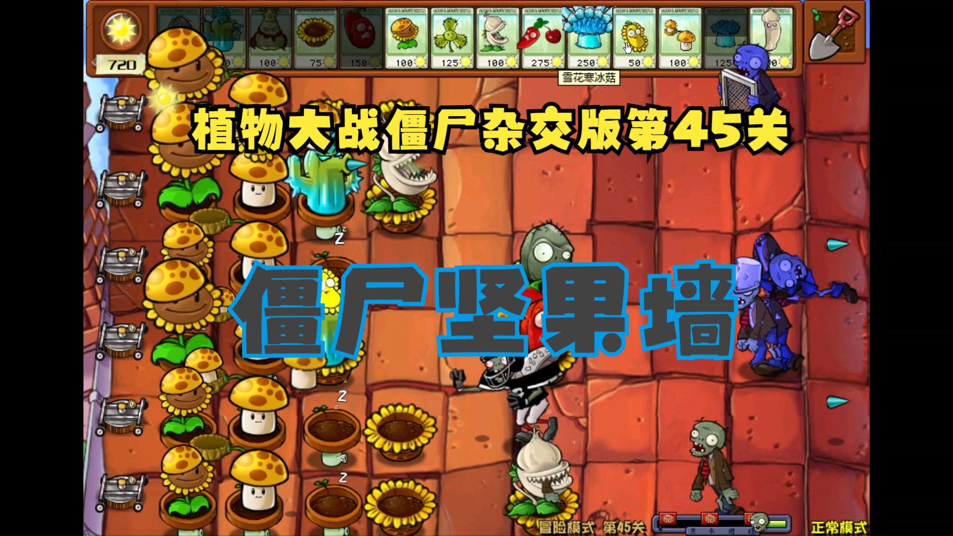僵尸坚果墙——植物大战僵尸杂交版实况第45关