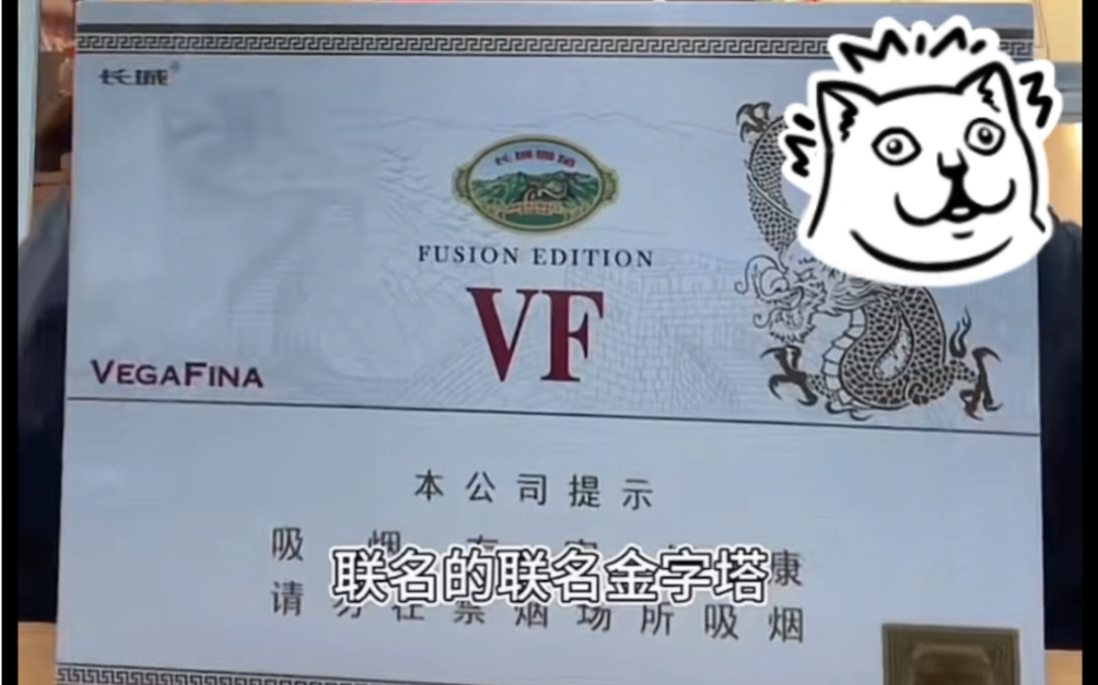 长城VF维佳,国产VF大奶棒.哔哩哔哩bilibili