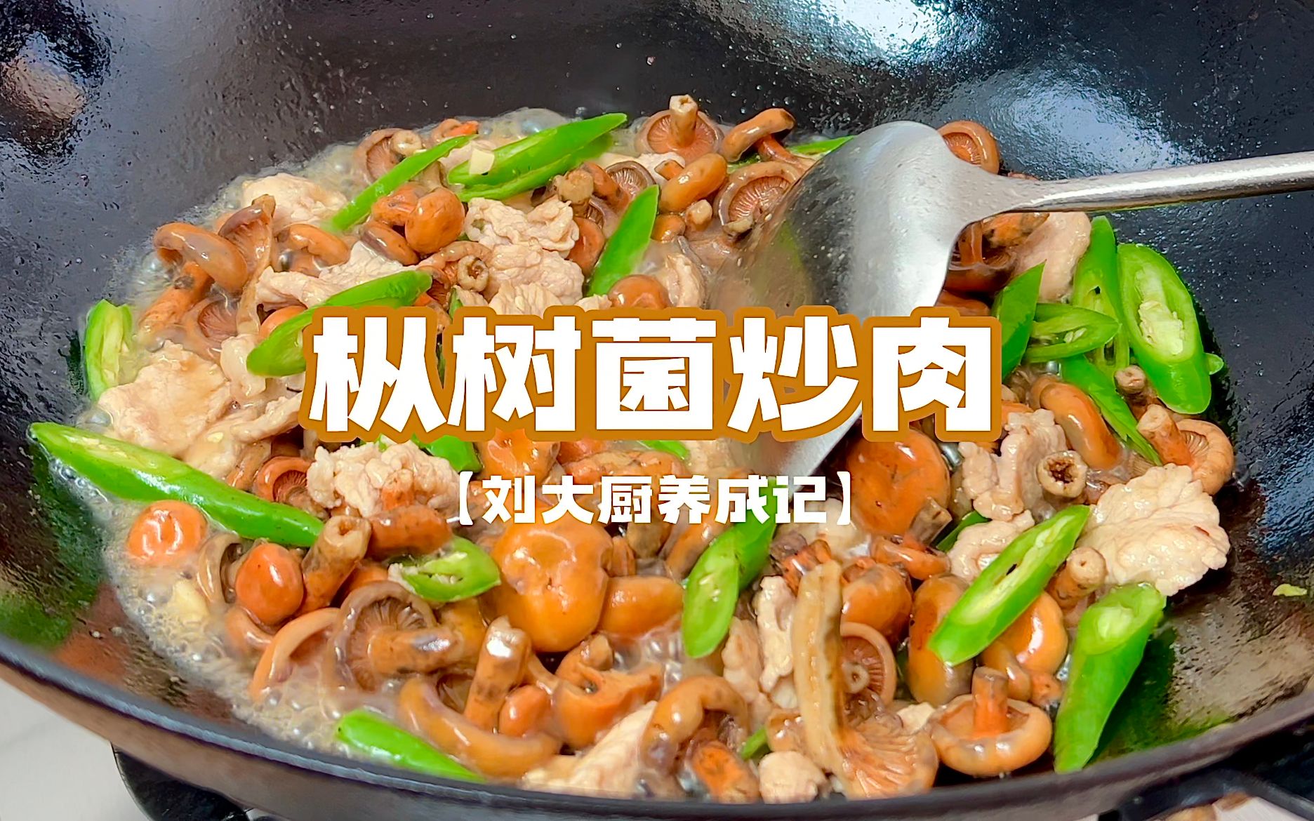 枞树菌不仅可以煮汤,炒肉也一绝!哔哩哔哩bilibili