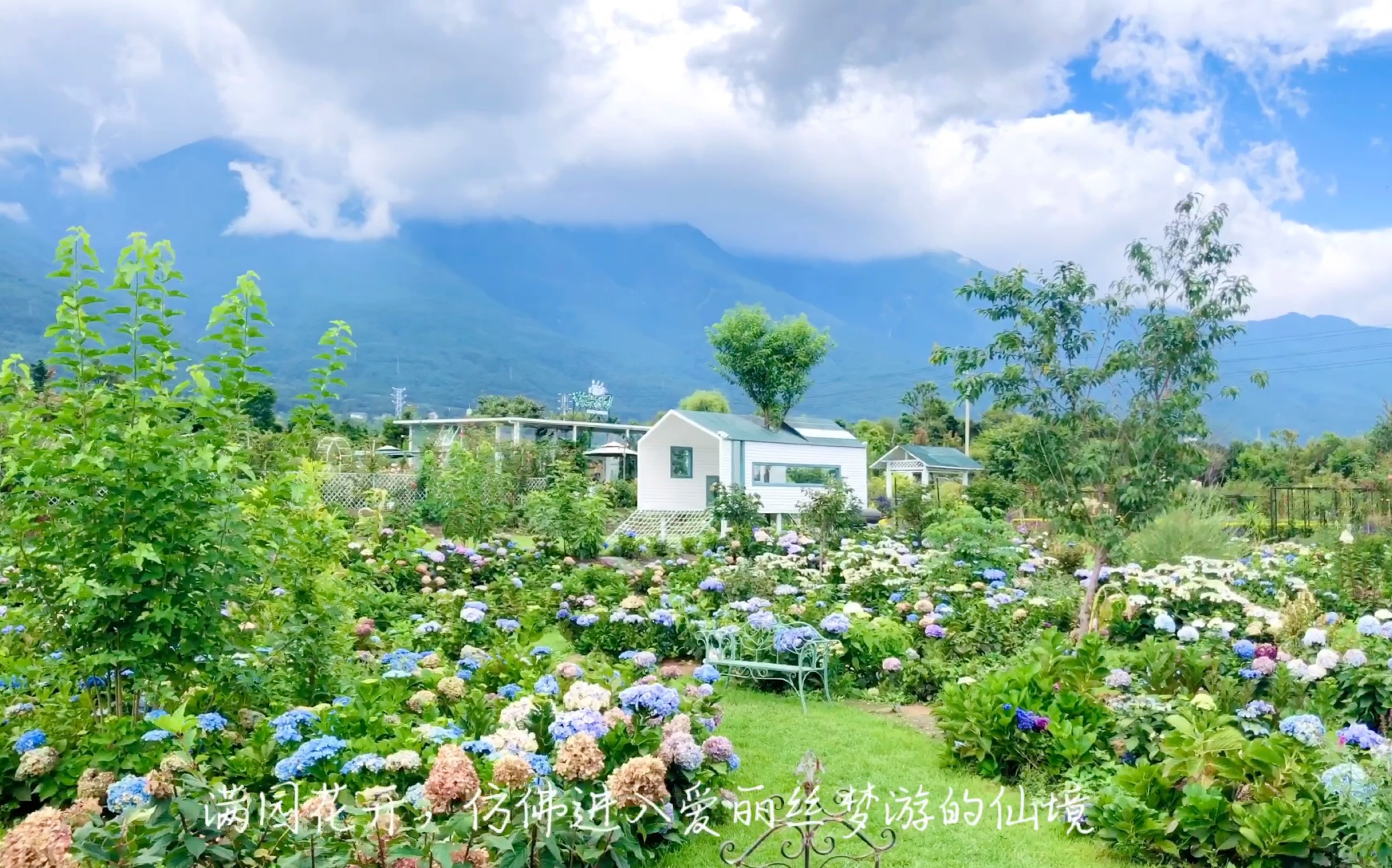 云南travel vlog | 喜洲古镇稻田 | 大理猫米花园 | 香格里拉_哔哩