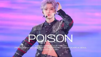 Descargar video: 【罗渽民】＇Poison＇4K直拍 240503~0504梦秀3首尔演唱会