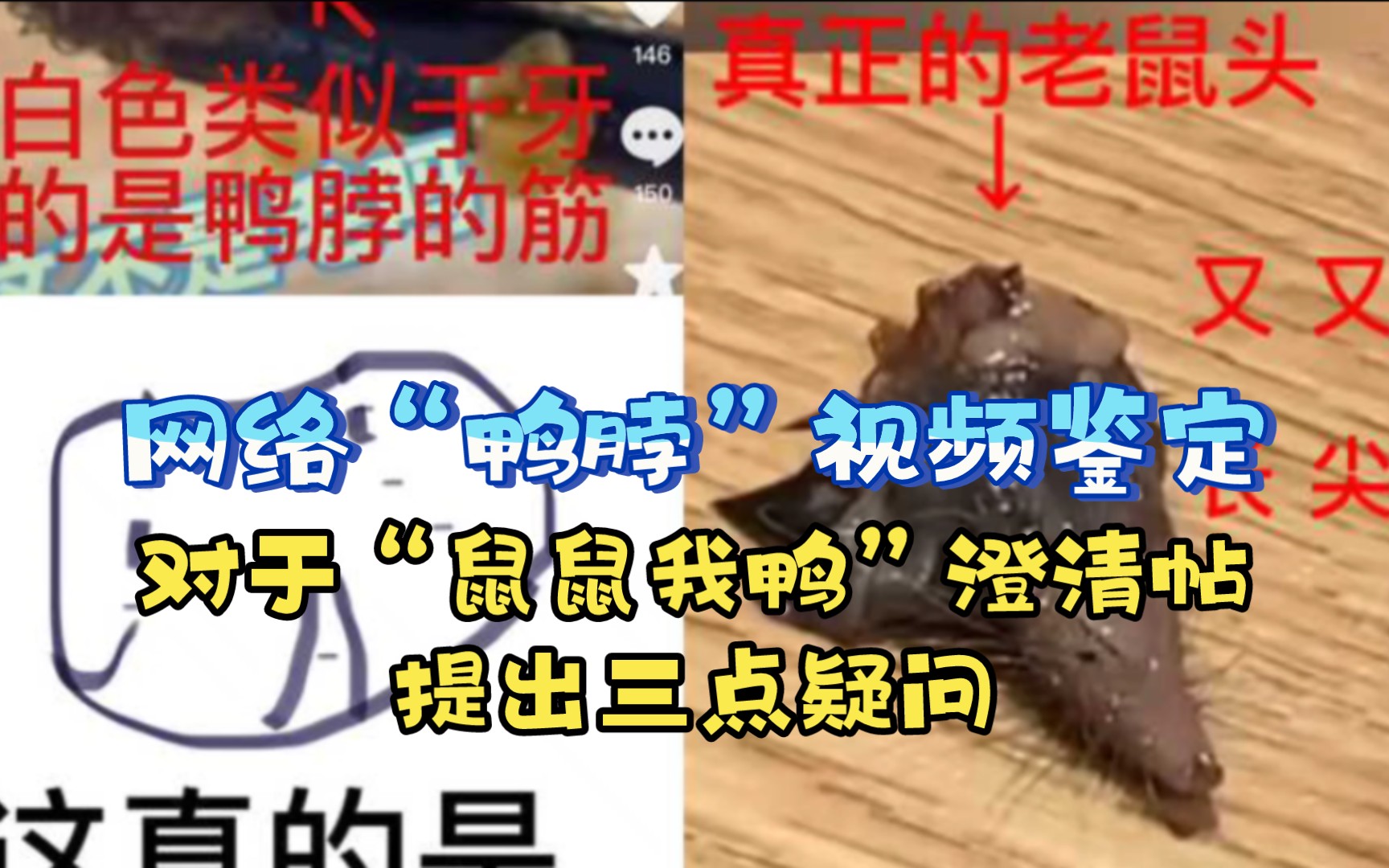 【网络“鸭脖”视频鉴定】对于“鼠鼠我鸭”澄清帖提出三点疑问哔哩哔哩bilibili