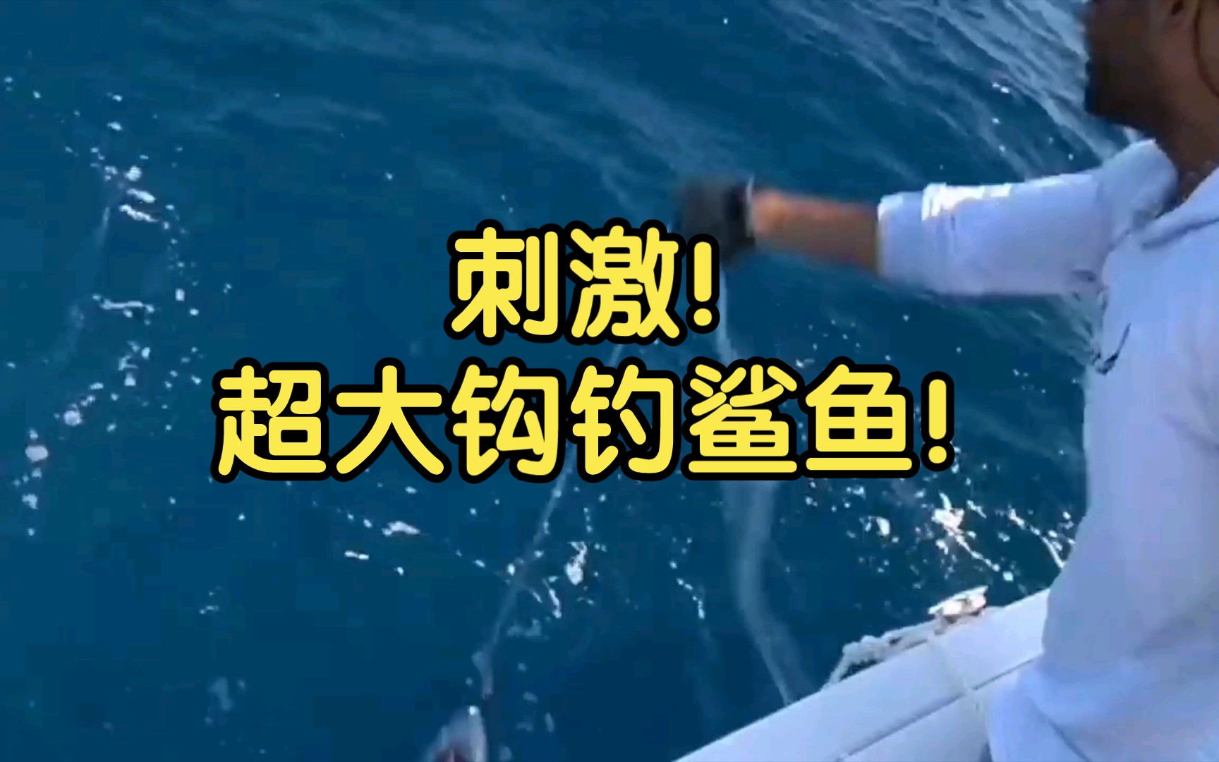 怎一个刺激了得!超级大钩子钓大鲨鱼!
