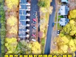 Download Video: 美国名校避雷之康奈尔大学