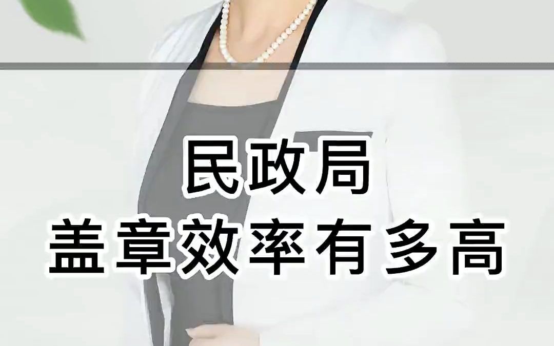 不要轻易说离婚,民政局盖章快哔哩哔哩bilibili