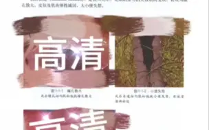 Video herunterladen: 法医 科普 法医病理学图谱 电子版