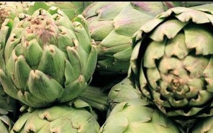 洋蓟的基础知识及食用方法Artichoke 101哔哩哔哩bilibili