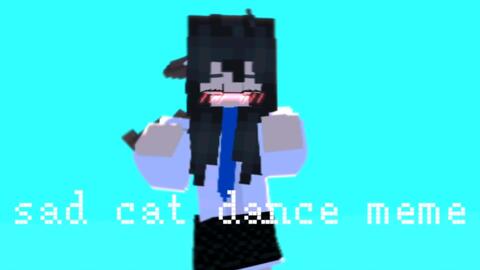 Minecraft Sad Cat Dance. 