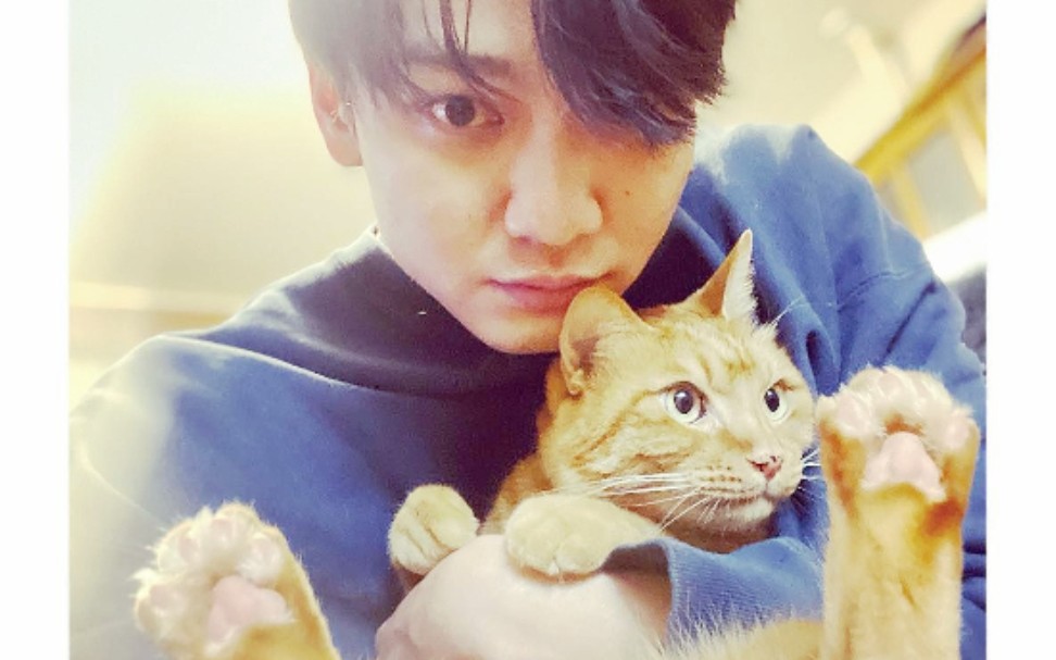 【高崎俊吾直播】养猫的甜蜜烦恼