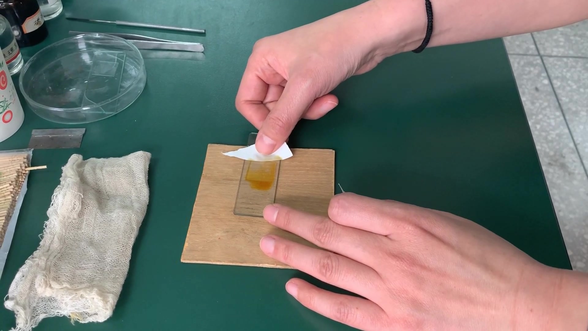 5制作人的口腔上皮细胞临时装片