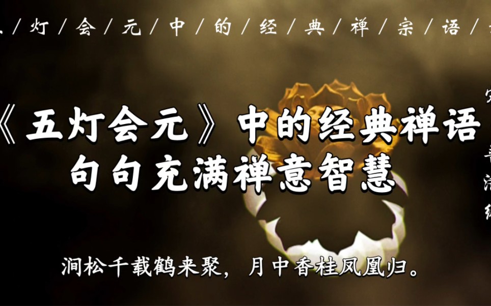 “涧松千载鹤来聚,月中香桂凤凰归”|《五灯会元》中的经典,句句充满禅意智慧哔哩哔哩bilibili