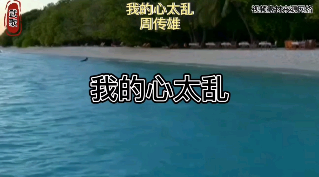 《我的心太乱》