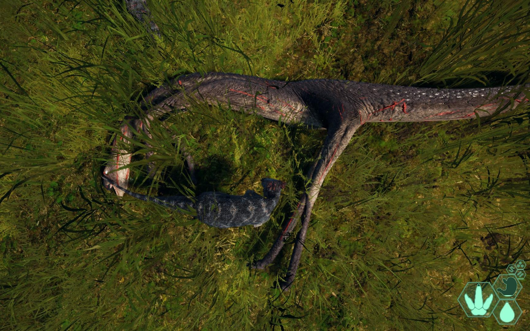 恐龙岛(the isle)测试服 草鸡的高光时刻