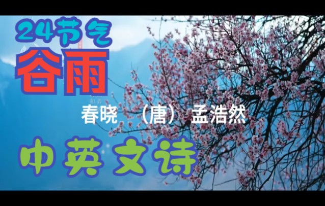 [图]24 节气 之 谷雨 ---- 中英文诗 春晓 (孟浩然） A Spring Morning (许渊冲 译）