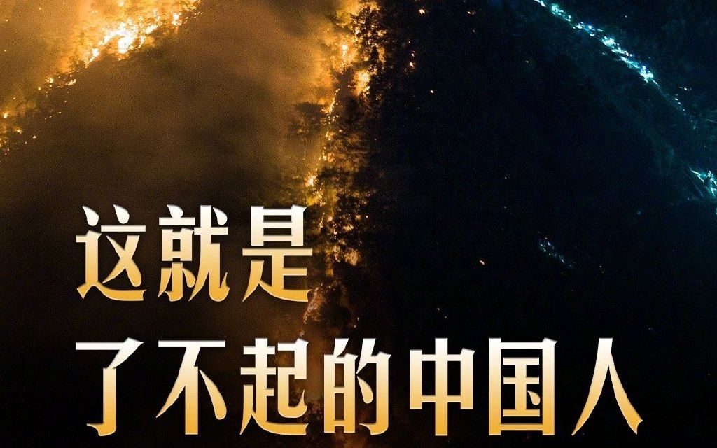 重庆雄起!_哔哩哔哩_bilibili