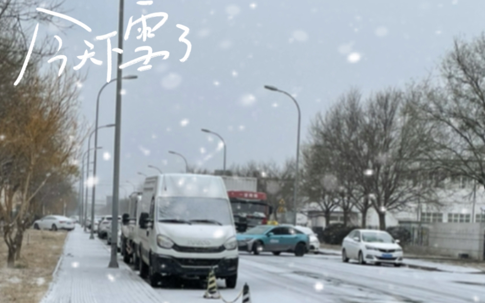 下雪啦!天津的初雪哇哇哇耶耶耶哔哩哔哩bilibili