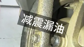 减震漏油一定要及时处理