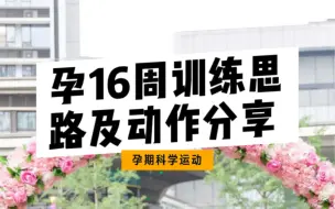 Tải video: 孕16周训练思路及动作分享