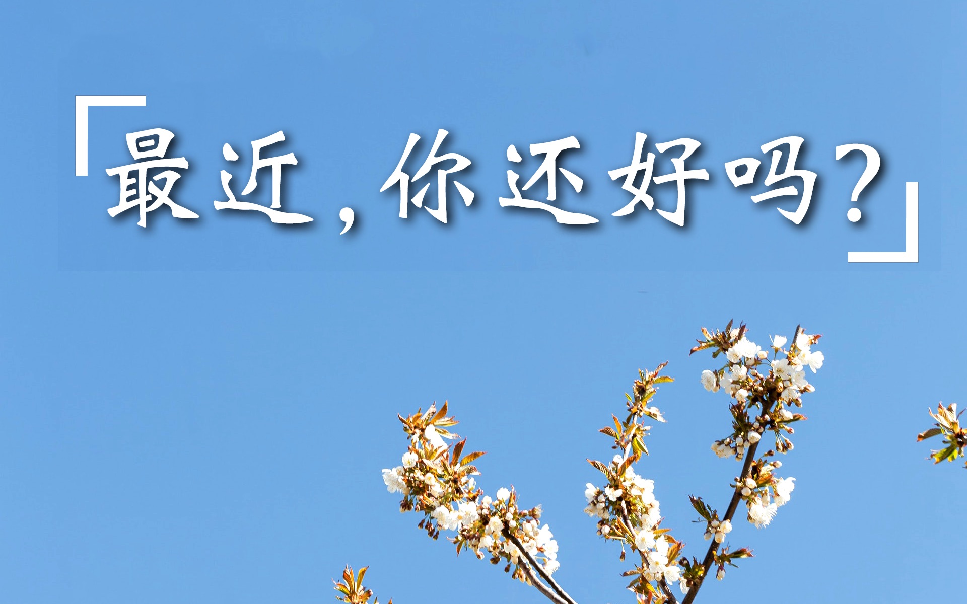 最近,你还好吗?