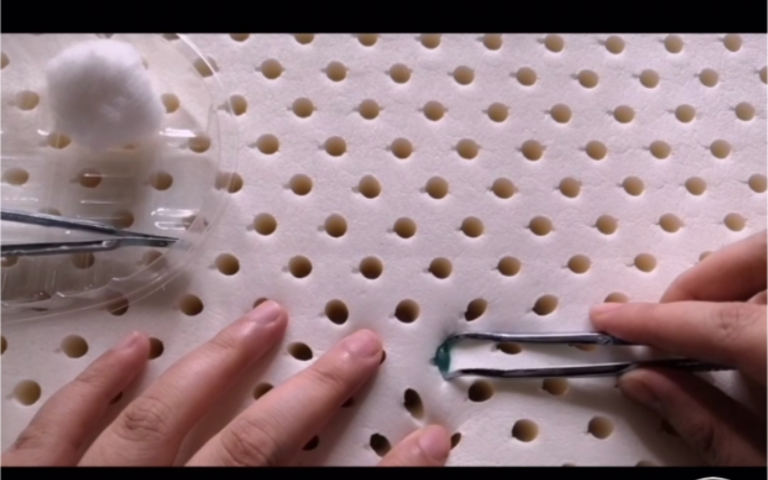 潇潇杨声控助眠录屏(自用)(持续更新)