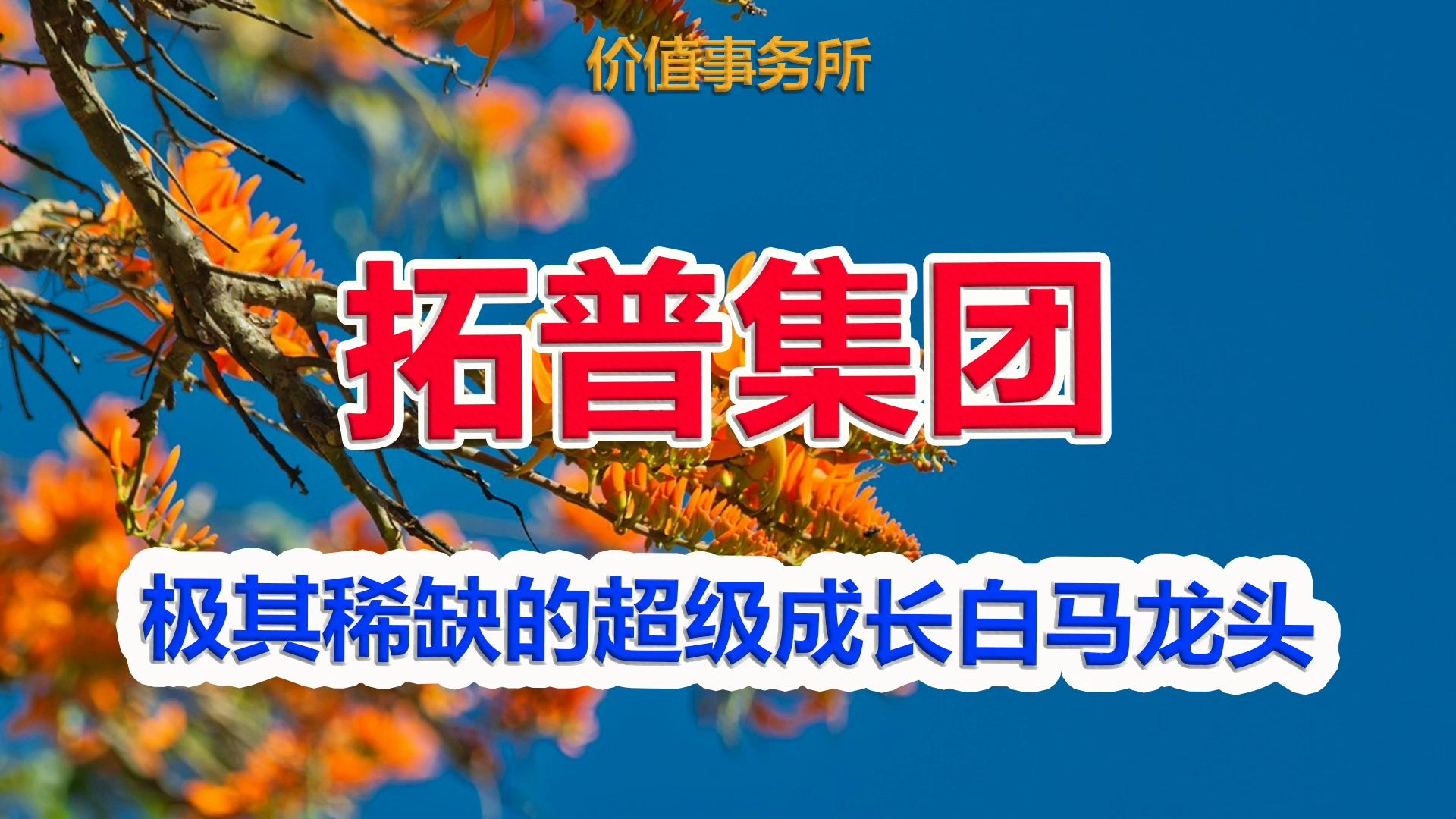 【拓普集团】碾压各种龙头,险资等机构疯狂加仓,业绩年年狂飙,极其稀缺的超级成长白马龙头|价值事务所哔哩哔哩bilibili