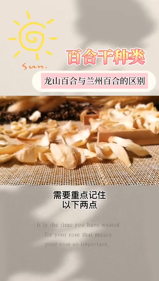 百合的种类?百合干产地哪里产的最好?哔哩哔哩bilibili