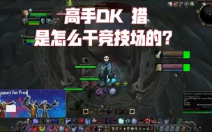 Download Video: 高手DK猎是怎么干竞技场的？魔兽世界竞技场之DK猎组合Darius + Homerjay来了，这个伤害真是爆炸