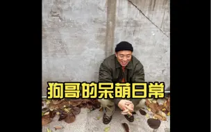 Download Video: 狗哥配文“老婆用我的卡买给我”哈哈哈