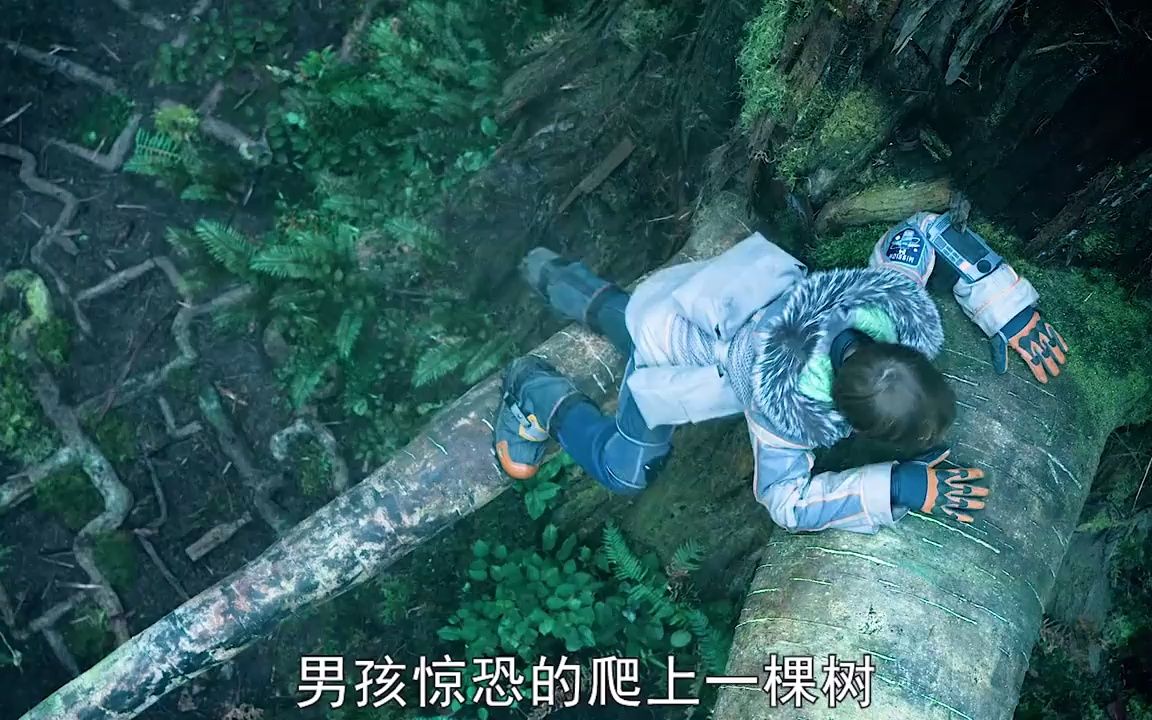 [图]影视-男孩遭遇外星人，如何成功获救？《迷失太空》