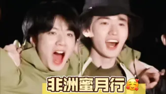【文轩】纯爽观看！一键开启碗盆非洲蜜月行，要素拉满，脑子一扔非磕不可