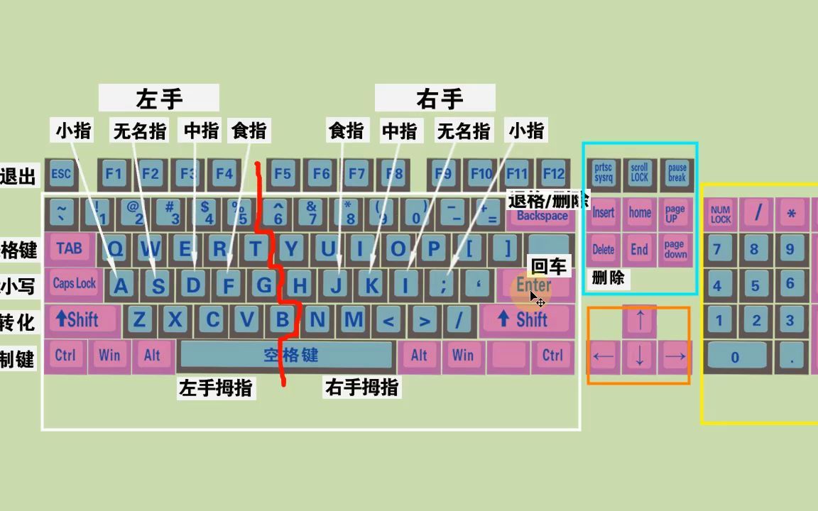 零基础学电脑打字入门教程,老师一步一步教会你哔哩哔哩bilibili