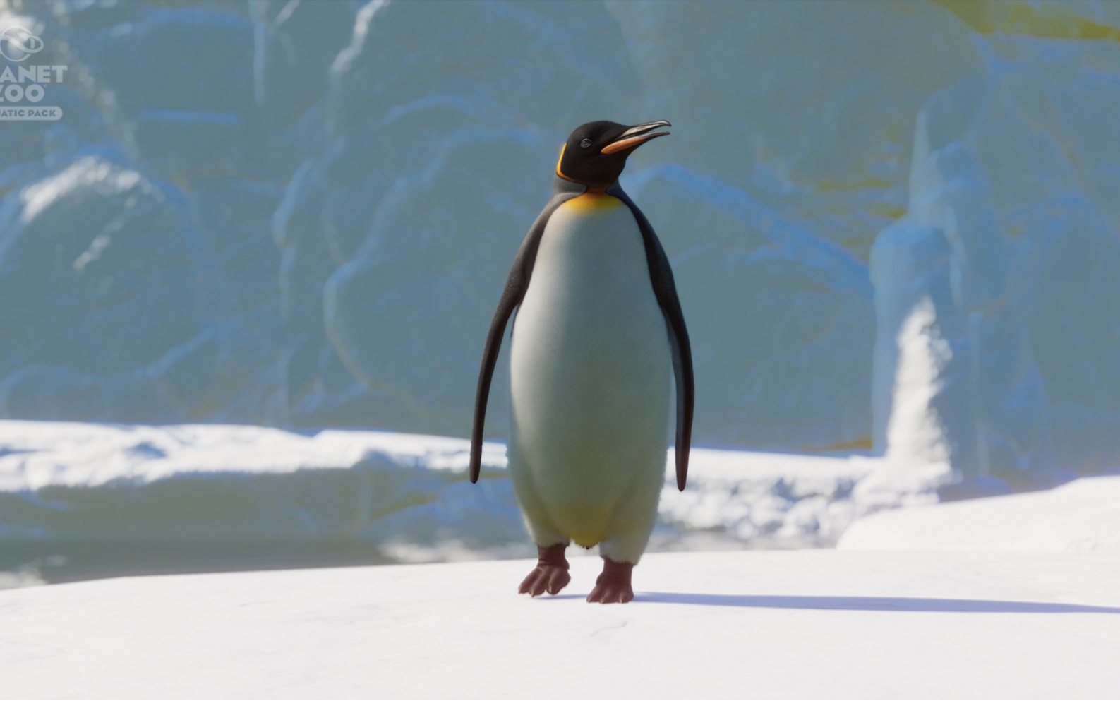 动物园之星王企鹅异色一览